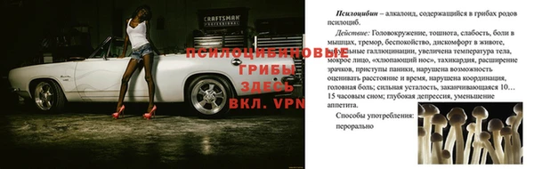 mdpv Лихославль