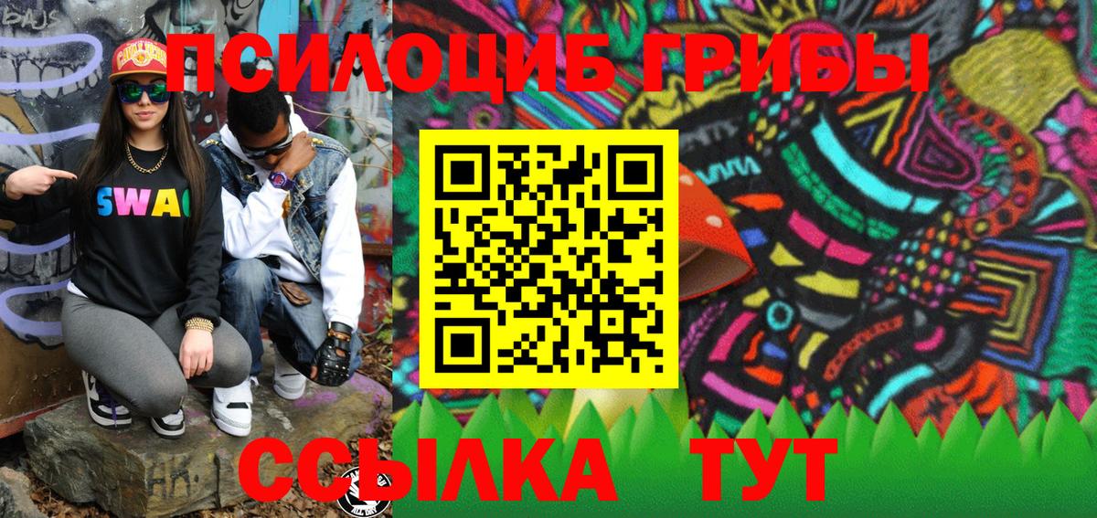 Псилоцибиновые грибы Psilocybe Фурманов