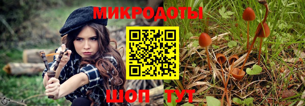 Фурманов  Галлюциногенные грибы Psilocybe  Галлюциногенные грибы мицелий  Вход с VPN 