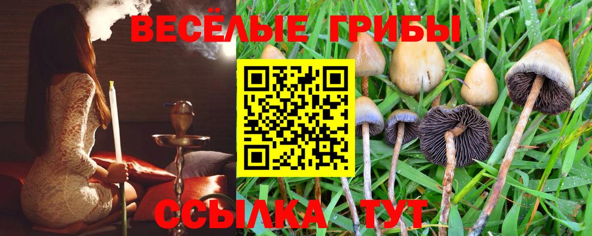 Псилоцибиновые грибы прущие грибы Фурманов